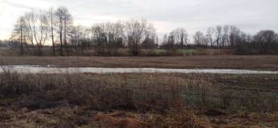 Вода брудна те смердить: у Брусилові місцеві жителі зафіксували скид нечистот в річку Батиївка Вода брудна те смердить: у Брусилові місцеві жителі зафіксували скид нечистот в річку Батиївка