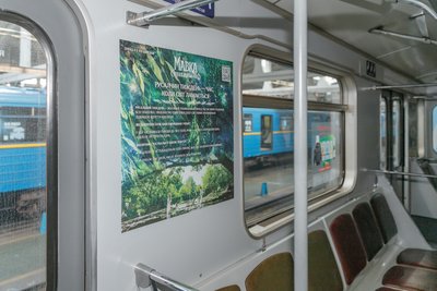 чернетка чернетка