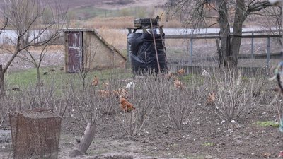 Єдині жителі в селі Мар'янівка: історія подружжя з Кіровоградщини Єдині жителі в селі Мар'янівка: історія подружжя з Кіровоградщини