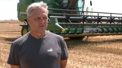 Жнива на Чернігівщині: у липні почали збирати урожай озимої пшениці Жнива на Чернігівщині: у липні почали збирати урожай озимої пшениці