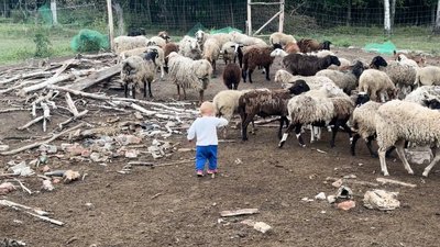 Гауда, качотта та бринза: як подружжя фермерів з Дейманівки на Чернігівщині виготовляє крафтові сири Гауда, качотта та бринза: як подружжя фермерів з Дейманівки на Чернігівщині виготовляє крафтові сири