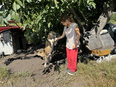 «Ми їдемо з ними»: родина з п’ятьма дітьми у прифронтовому Хрестищі шукає дім для себе і тварин «Ми їдемо з ними»: родина з п’ятьма дітьми у прифронтовому Хрестищі шукає дім для себе і тварин