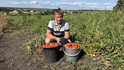 Фермер Олег Єрмаков з двома відрами помідорів