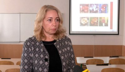 "Ходимо, поки не випаде сніг і не закриє їх": як у селах на Волині збирають пізні осінні гриби "Ходимо, поки не випаде сніг і не закриє їх": як у селах на Волині збирають пізні осінні гриби