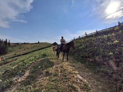 Любов Гапчук, Карпати, гуцули, гори, кінь Любов Гапчук, Карпати, гуцули, гори, кінь
