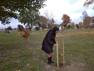 У парку в Овручі заклали дубовий гай в пам'ять про захисників, які віддали життя за Україну У парку в Овручі заклали дубовий гай в пам'ять про захисників, які віддали життя за Україну