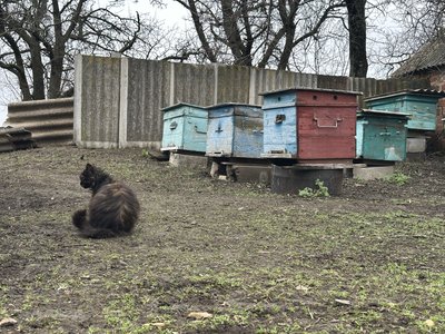 “Навіть страшно, коли тиша”. У прифронтовому Хрестищі готуються сіяти городину “Навіть страшно, коли тиша”. У прифронтовому Хрестищі готуються сіяти городину