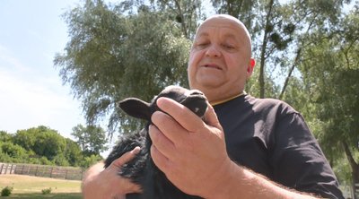 Юрій Лисогор Юрій Лисогор
