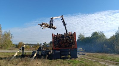 Чи зросла ціна на дрова від лісгоспів на Волині