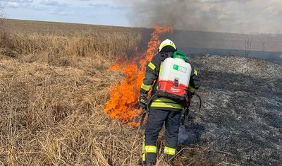 Поблизу села Пиляї Шепетівського району ліквідували пожежу сухої рослинності на площі 500 квадратних метрів