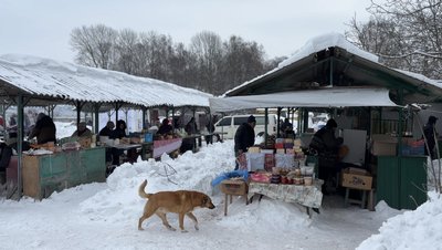 Ринок, Бурштин