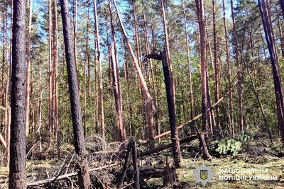 лісничий виявив уламки боєприпасу