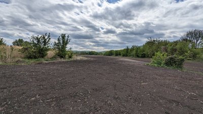 Заповідники замість ріллі: фахівчиня розповіла як вберегти природу Черкащини Заповідники замість ріллі: фахівчиня розповіла як вберегти природу Черкащини