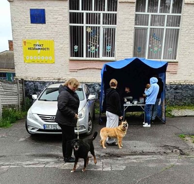 Понад 3400 котів і собак вакцинували у Вінниці під час кампанії проти сказу Понад 3400 котів і собак вакцинували у Вінниці під час кампанії проти сказу