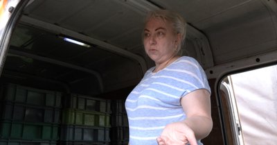 "Тяжка праця, але заробити можна": на Волині триває сезон збору чорниці "Тяжка праця, але заробити можна": на Волині триває сезон збору чорниці
