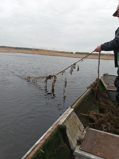 На Житомирщині екоінспектори виявили 12 випадків порушень правил рибальства