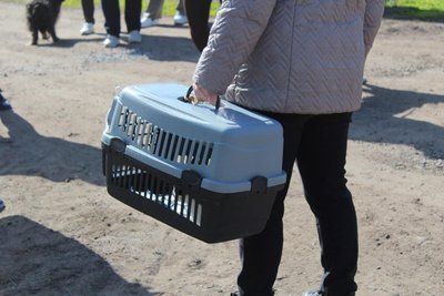 Жінка принесла тварину на стерилізацію до ГО "Ветеринари без кордонів" у Сахновщинській громаді