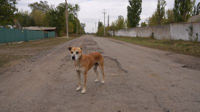 "Хорошого — нічого. Молим Бога, та і все". Як живуть у Малинівці на Синельниківщині, що за 12 км від лінії фронту "Хорошого — нічого. Молим Бога, та і все". Як живуть у Малинівці на Синельниківщині, що за 12 км від лінії фронту