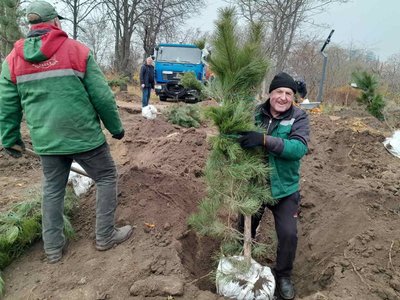 В одному з парків Одеси висадили майже пів сотні молодих дерев В одному з парків Одеси висадили майже пів сотні молодих дерев