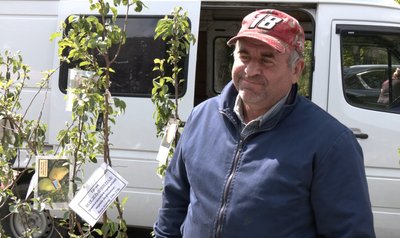 Як вирощують черешню на Волині і скільки коштує фрукт