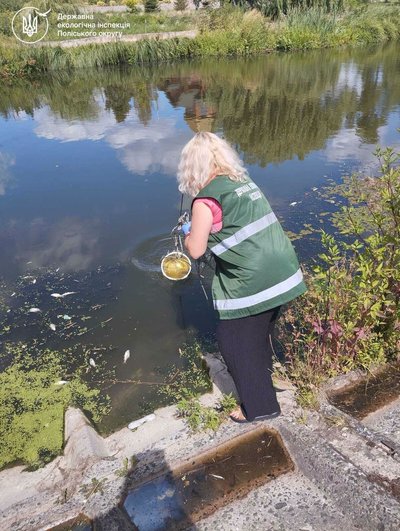 Загибель риби в Усті: екологи перевірють воду у річці у межах Рівного Загибель риби в Усті: екологи перевірють воду у річці у межах Рівного