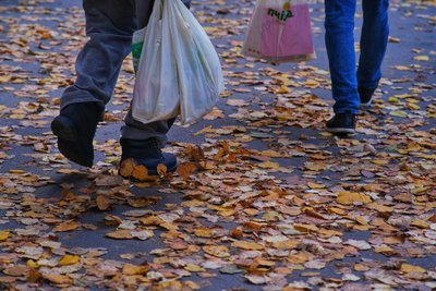 Опале листя та квітучі клумби: який вигляд має Житомир наприкінці жовтня — фоторепортаж