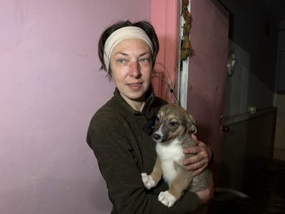 "Не буває неважливого життя". Як у Херсоні з-під обстрілів рятують чотирилапих "Не буває неважливого життя". Як у Херсоні з-під обстрілів рятують чотирилапих