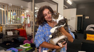 Три роки чекали на дім: двоє котів-друзів із вінницького котопростору їдуть до Відня Три роки чекали на дім: двоє котів-друзів із вінницького котопростору їдуть до Відня