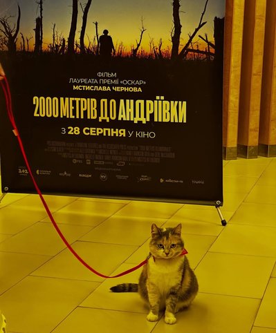 Кішка Андріївка відвідала спецпоказ "2000 метрів до Андріївки" у Львові