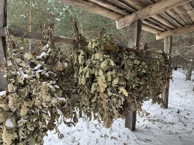 "Не залишаться без їжі": лісівники на Полтавщині підгодовують диких тварин