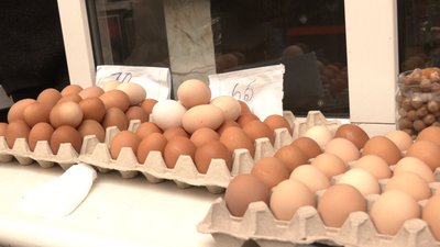 Ціна на яйця в Житомирі: скільки коштує десяток на Житньому ринку та чому подорожчають Ціна на яйця в Житомирі: скільки коштує десяток на Житньому ринку та чому подорожчають
