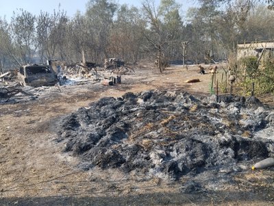 На Полтавщині загасили масштабну лісову пожежу