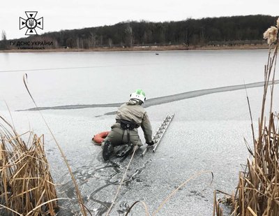 Тікало від хижаків. На Київщині з водойми врятували поранене оленятко Тікало від хижаків. На Київщині з водойми врятували поранене оленятко
