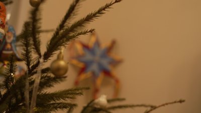 ялинка, різдво, різдвяна зірка ялинка, різдво, різдвяна зірка
