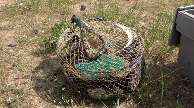На Черкащині водолази обстежили дно водойм: перелік дозволених для купання пляжів На Черкащині водолази обстежили дно водойм: перелік дозволених для купання пляжів