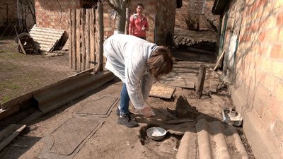 "Слідкуємо, щоб були здорові": на Черкащині вакцинують домашню птицю "Слідкуємо, щоб були здорові": на Черкащині вакцинують домашню птицю