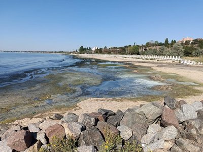 "Чорна вода" у морі під Одесою: аналізи показали 63-кратне перевищення забруднюючих речовин "Чорна вода" у морі під Одесою: аналізи показали 63-кратне перевищення забруднюючих речовин