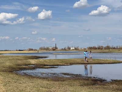 "Практично урожай втрачений": як негода знищила поля в Кобеляцькій громаді "Практично урожай втрачений": як негода знищила поля в Кобеляцькій громаді