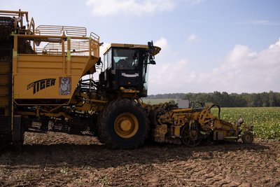 Урожайність вища, ніж торік: аграрії Черкащини продовжують збір урожаю Урожайність вища, ніж торік: аграрії Черкащини продовжують збір урожаю