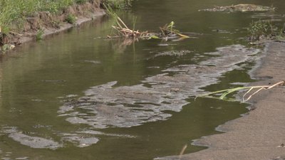 "Тут і риби немає вже": річка Горинь на Рівненщині обміліла нижче історичного мінімуму "Тут і риби немає вже": річка Горинь на Рівненщині обміліла нижче історичного мінімуму