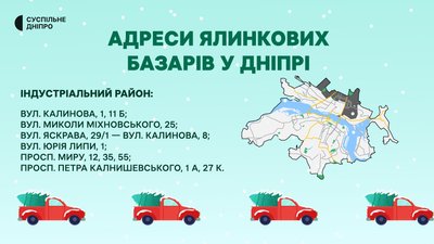 У Дніпрі визначили місця продажу ялинок