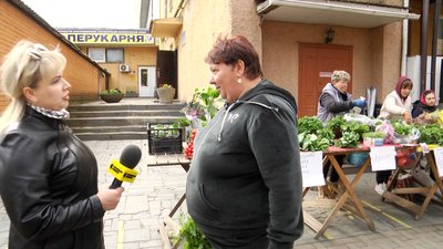 Розсада на Житньому ринку в Житомирі: що продають і скільки коштує Розсада на Житньому ринку в Житомирі: що продають і скільки коштує