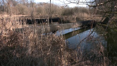 Неприємний запах біля річки Устя у Рівному: що про це кажуть місцеві жителі та фахівці Неприємний запах біля річки Устя у Рівному: що про це кажуть місцеві жителі та фахівці