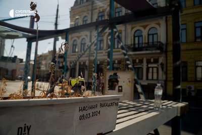 засохлі від спеки рослини на парклеті на Подолі, Київ, 13 липня 2024 року засохлі від спеки рослини на парклеті на Подолі, Київ, 13 липня 2024 року