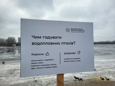 Як підгодовувати водоплавних птахів узимку: біля київських водойм з'явились нагадування