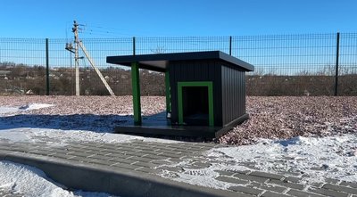 Пес два роки чекає на свого загиблого господаря Пес два роки чекає на свого загиблого господаря