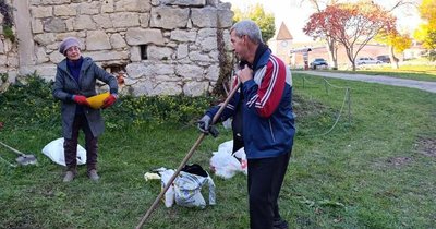 замок, висадка квітів замок, висадка квітів