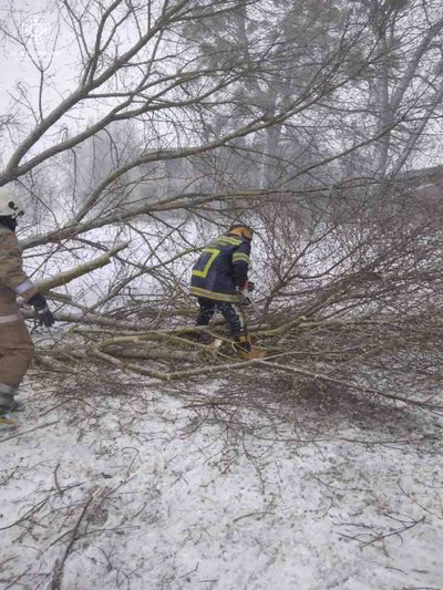 Негода на Житомирщині: у снігові замети потрапили пів сотні машин Негода на Житомирщині: у снігові замети потрапили пів сотні машин