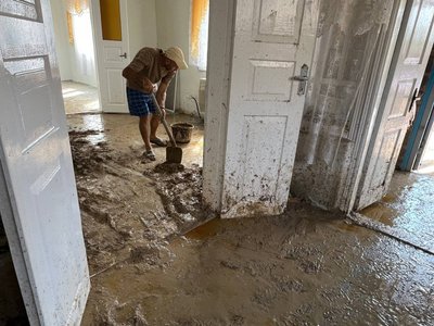 хата стеля хата стеля