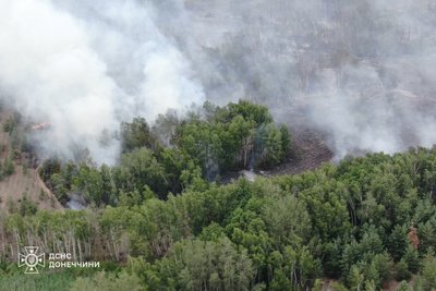 Горить ще 100 гектарів: в ОВА розповіли, коли загасять пожежу в лісах біля Лиману
